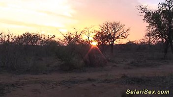 Savage Safari Gangbang: A Wild Orgy In The Heart Of Africa